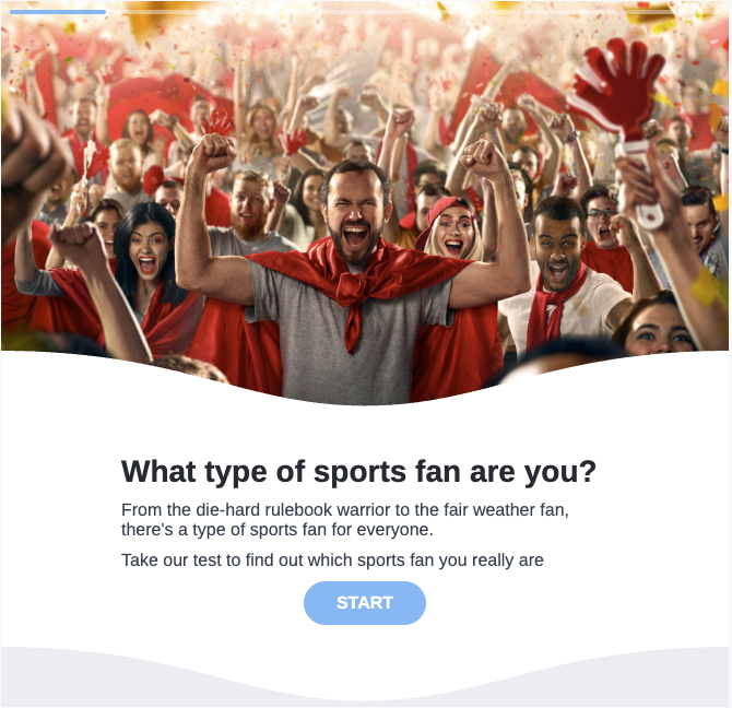 what type of sports fan are you